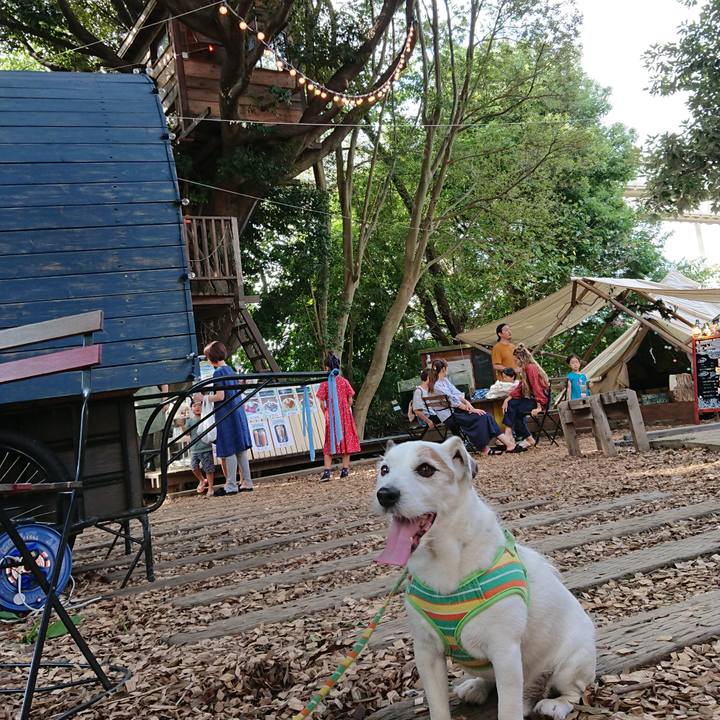 Bd65044b 775d 4a61 a647 319bc88a0a66 1537795439154