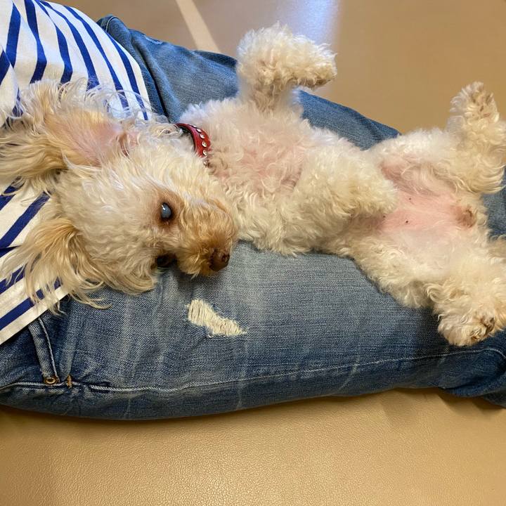 Bd652107 820e 4943 b38f 98fa7ac29c26 1627198941317