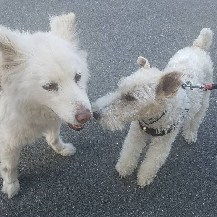 Bd65783c 0af3 4f3d aa2b edc75adfa559 1557755448057