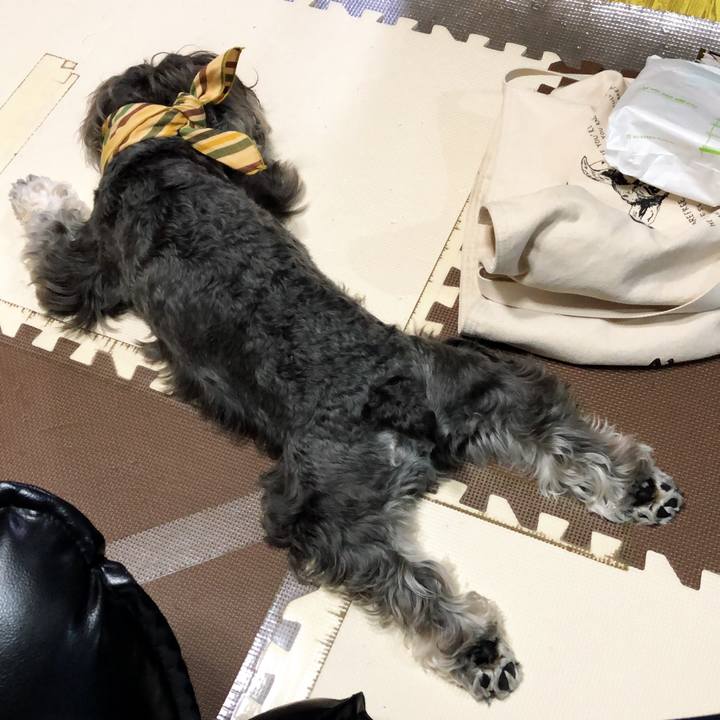 Bd658ea8 fdb3 41cc a2d9 c70781277655 1531575588921