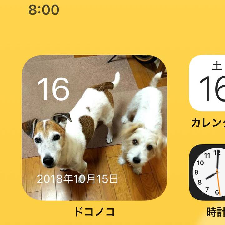 Bd659059 339b 4ad7 9f0a b5acc189a141 1634338954154