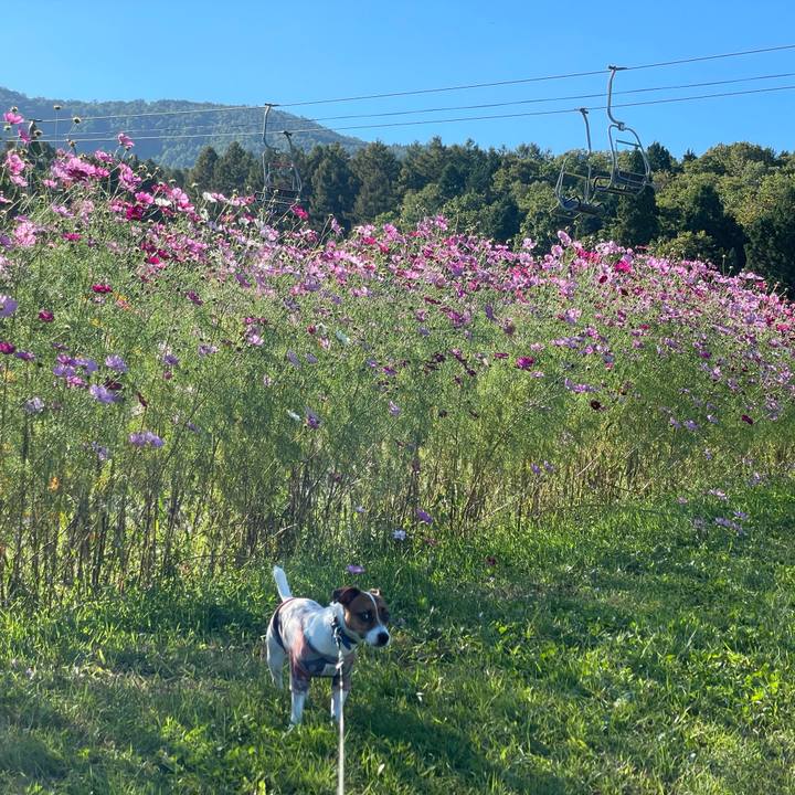 Bd65cdf7 8aa2 42f6 9e68 c7afca3d7d0e 1632205981439