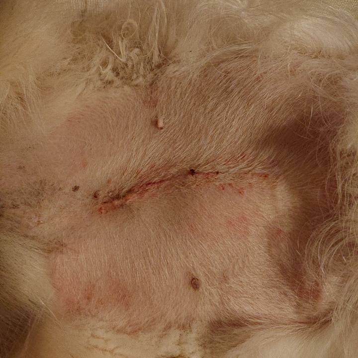 Bd65ed5f f8b1 4e60 8744 b3de39e7609a 1568123695466