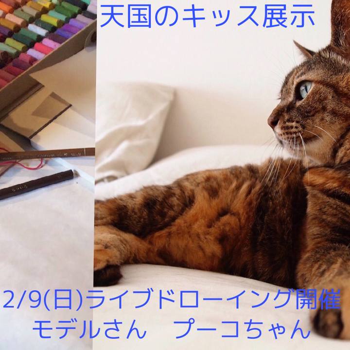 Bd65f951 7173 4392 aa7f 79f87c56e9a8 1581131333582