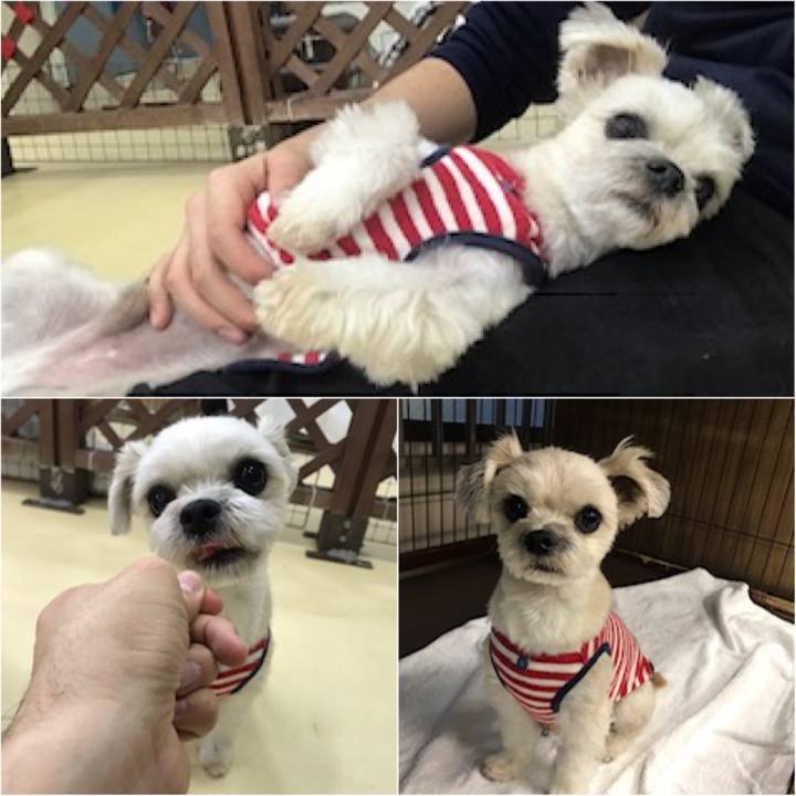 Bd65fbeb 3c08 4d0b 9750 4958932eba27 1545222000680