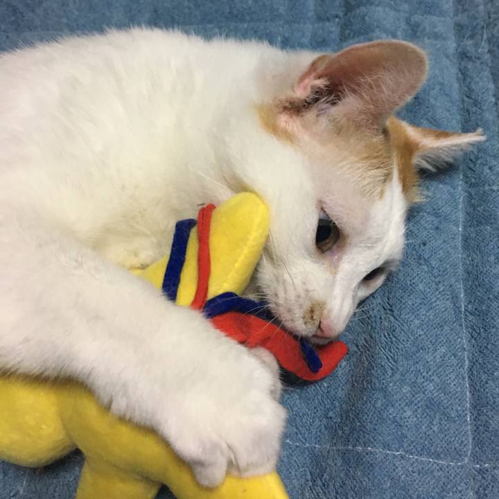 Bd661c12 9343 4844 a540 9660bca23cfc 1557643192827