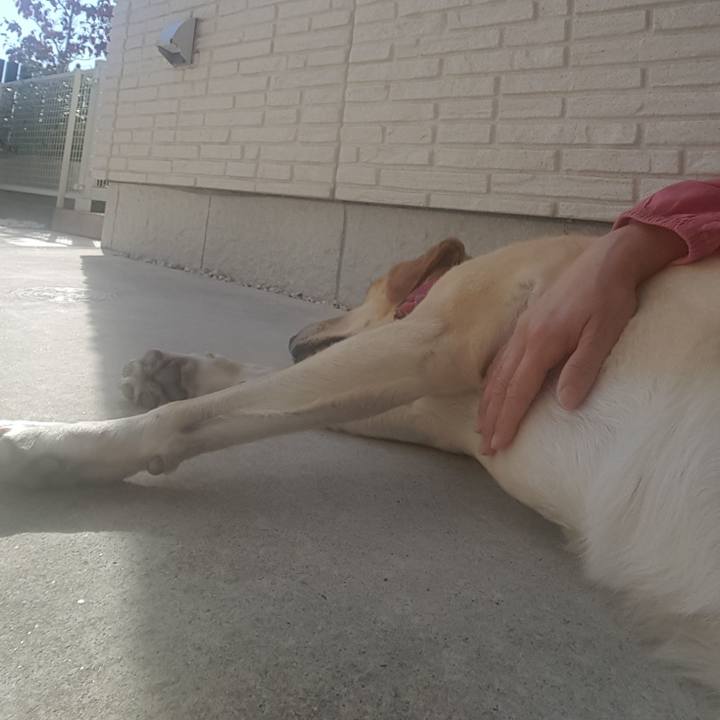 Bd664207 e9ff 4a5b 992e 4d456a183868 1509627552133