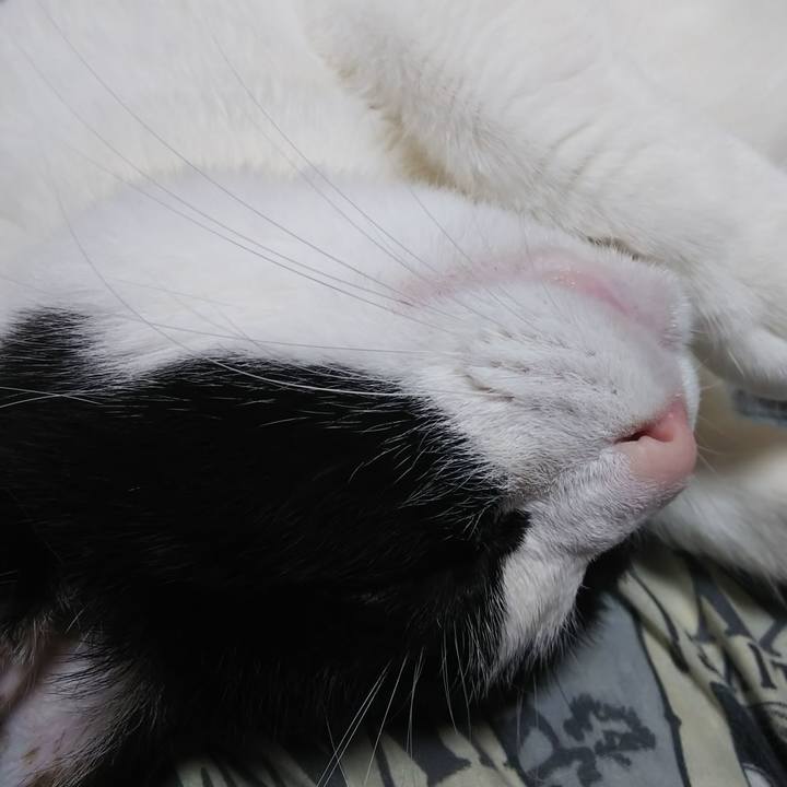 Bd6673b4 aedc 4b4b adaa 42a31335a714 1590817540848