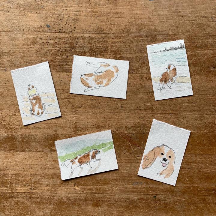 Bd66d388 35ae 4952 9922 647e0591d871 1621817550162