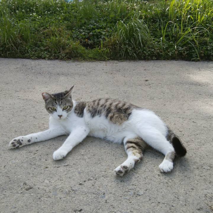 Bd66e4c2 ac2b 4f51 a149 7b3e4ae56a62 1527206352006