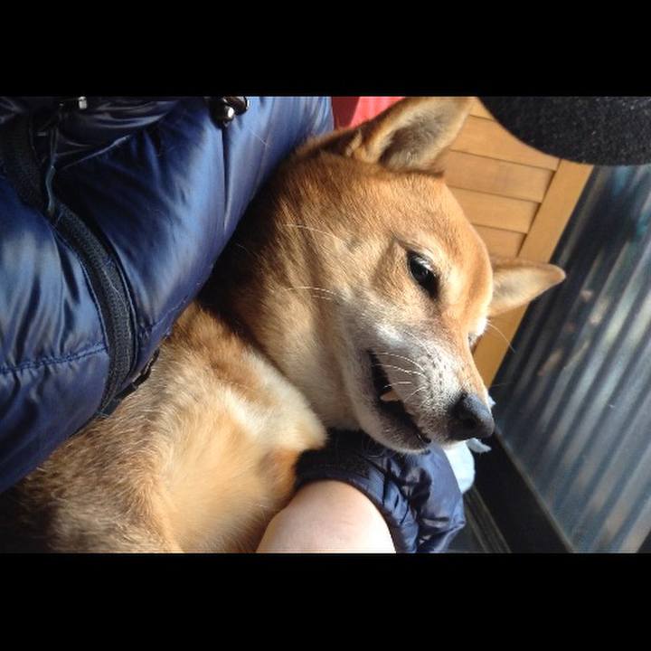 Bd670912 dae1 40e7 9051 20088a71a997 1512874027568