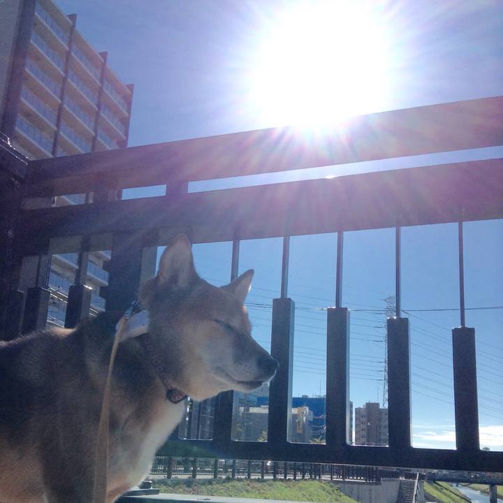 Bd670d80 ae8a 4d37 b9ad 89a24209d833 1510451757003