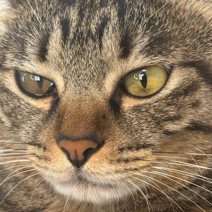 Bd671597 3a38 4c38 8d15 d9a874ff4cef 1758936517118