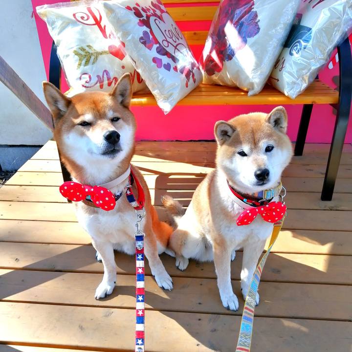 Bd674515 714c 4e41 8212 a5828d5899ac 1645077970629