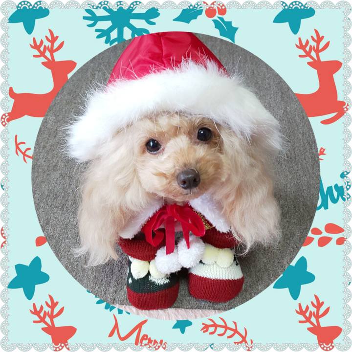 Bd676444 e17e 4dce ad2f be315ecddc75 1575448573218