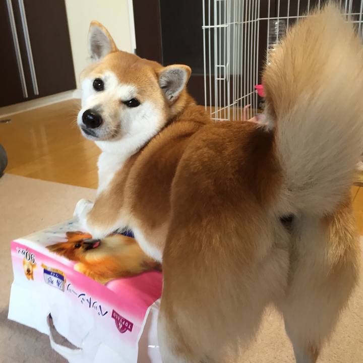 Bd67de3c 2eef 483f 9953 ef0fea71bfd3 1519101184697