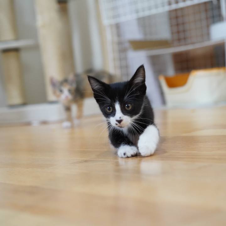 Bd682708 9520 4517 9edc c8f16401bb90 1567917088452