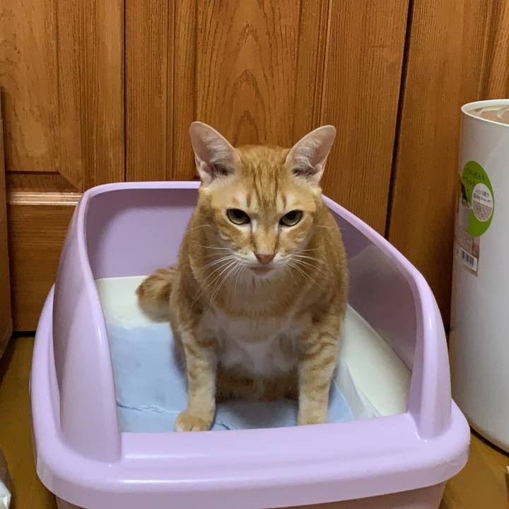 Bd6898d6 5f8c 43f9 b1a6 d7de116532fc 1572514962949