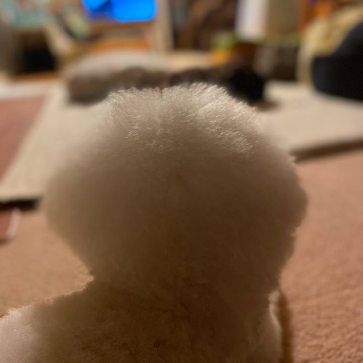 Bd68c7af dfb6 4ab9 9b4b e68c637177cb 1666354229275