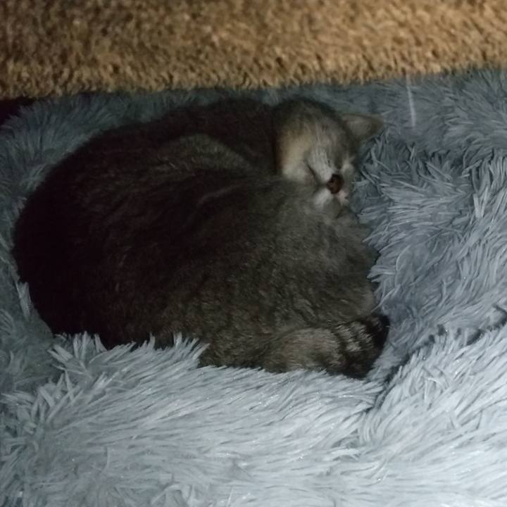 Bd68cf27 d2e3 4dc1 a391 f421eb17498f 1676106596745