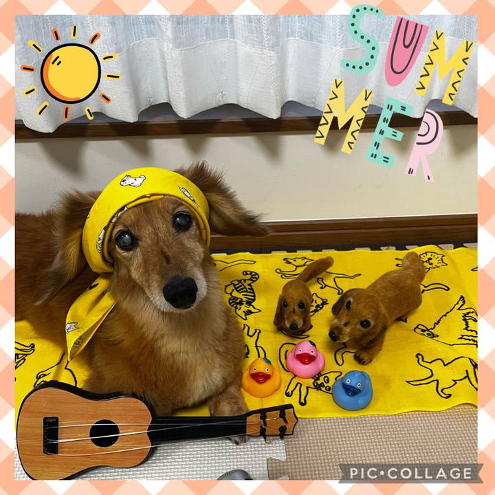 Bd6911e5 b58b 4f44 b12f eefe51e73a74 1660392552022