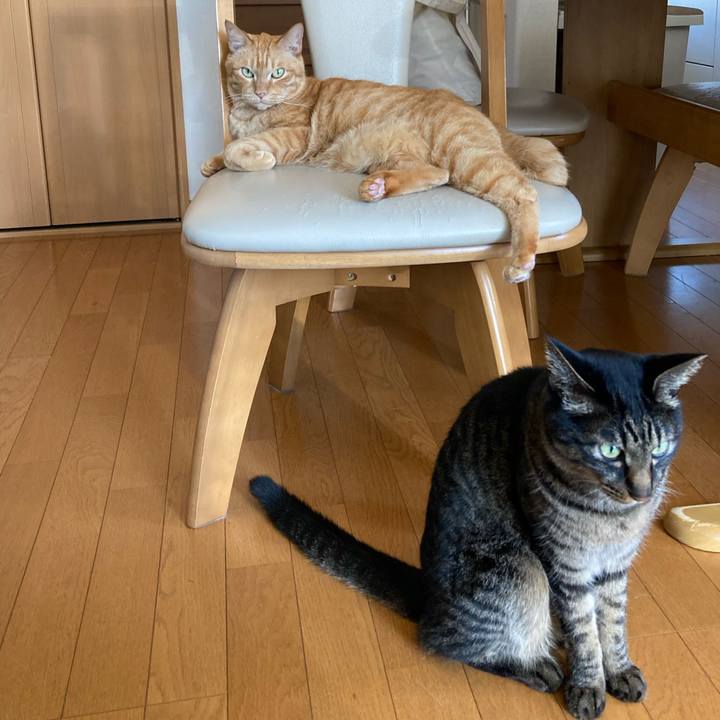 Bd69389f 6f6f 41ef 89f3 51604568d3c1 1624669635455