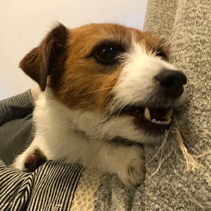 Bd69527a 6fcc 4fd6 8b3c 48d07fb51c22 1588585576681