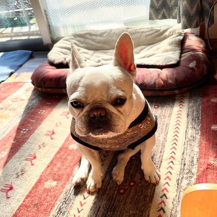 Bd696ddd e2a7 477e 81fd 059a9ae785c3 1767586638840