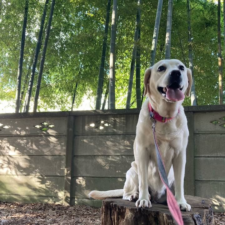 Bd6976ac f3b3 4971 ae67 9eab0b535590 1752105307489