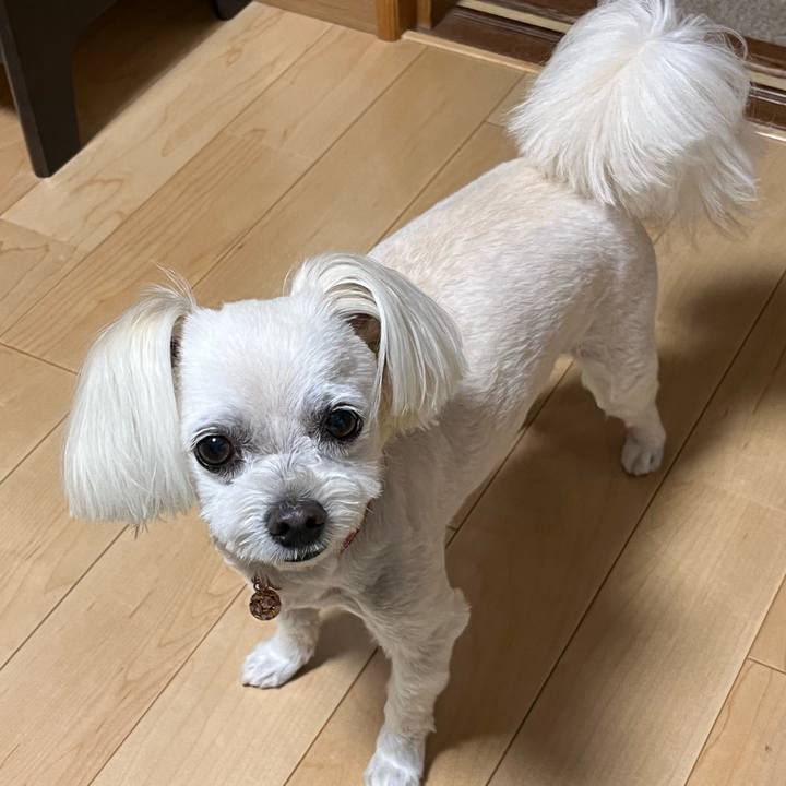 Bd697c16 e7d2 4dd0 8995 a80d5011f81d 1686742908988