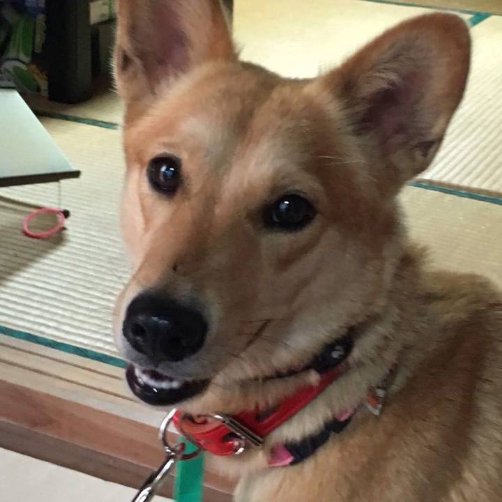 Bd699a26 f270 473c 8699 1df055f869e6 1522389136636