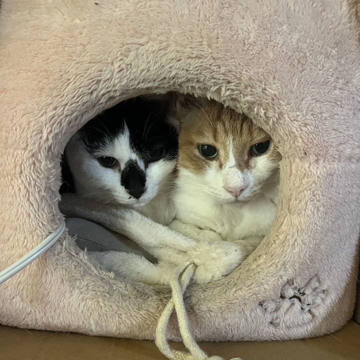 Bd69c784 6b62 4367 b4d3 eefdb0151170 1764404517680