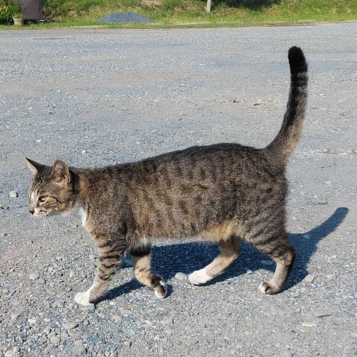 Bd69c93f 0a6d 4000 9851 aa56002f4556 1569541987316