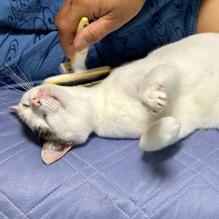 Bd69dc24 3e39 41c2 be2b 7913617e3e87 1686833525710