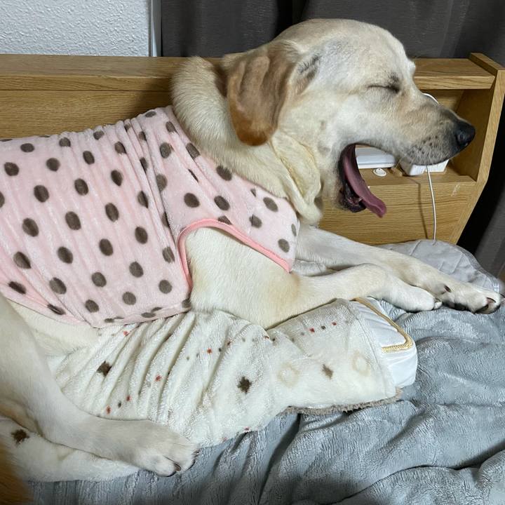 Bd69ed56 85bf 49c9 88ae 67b6a5bd49af 1634738409606