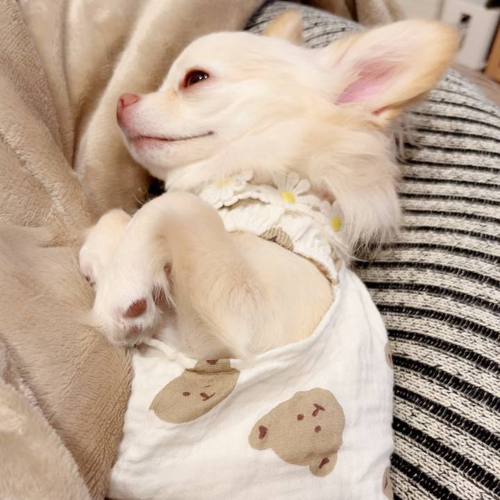 Bd69f54c 9730 4a75 a69d 3e78fdfad6c3 1692360766258