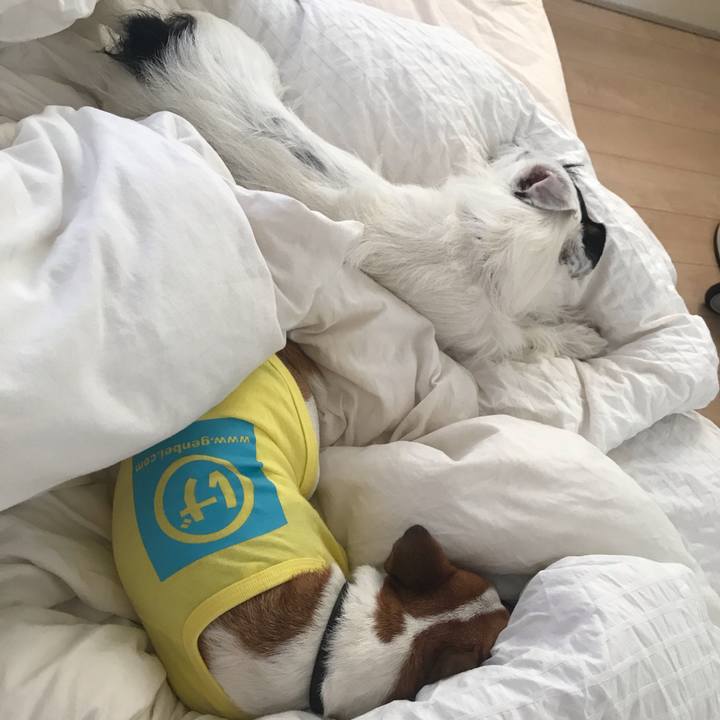 Bd6a086c b0b1 4e16 bfbc eea3097af9ed 1538431235517