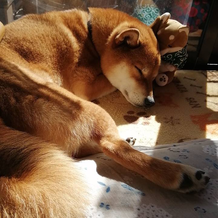 Bd6a50a9 60bb 49a8 bdee 3e9d4adae700 1582862477181