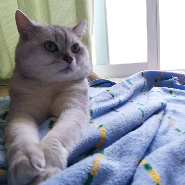 Bd6ac142 9419 483a a637 3a9f24503279 1527655443362