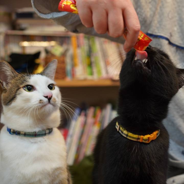 Bd6aecf2 3941 4e48 8ec6 0c27908fd0cc 1580947714590