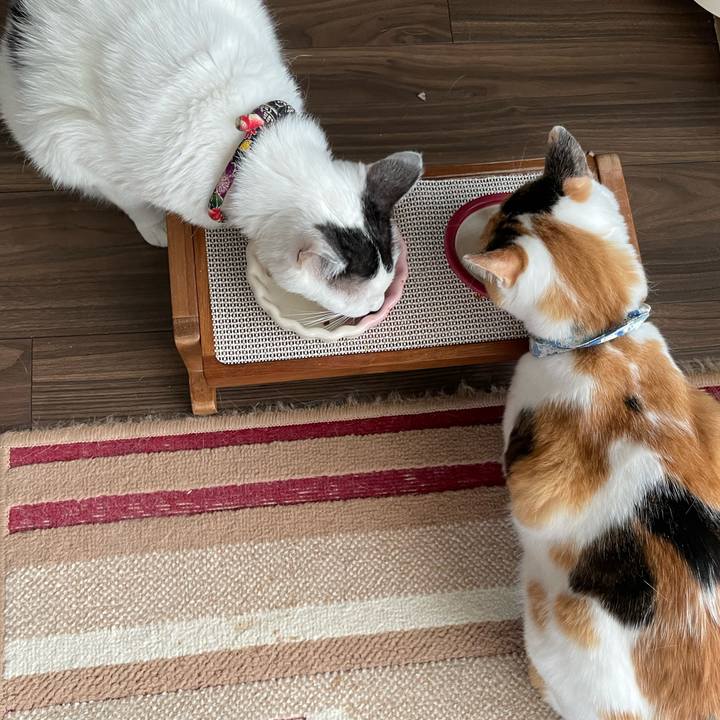 Bd6b2773 7d1f 4681 a5a7 e029e4ba7217 1720271167238