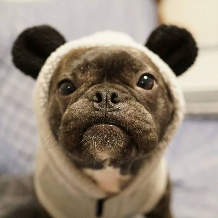 Bd6b384f 7a42 4734 838c 1cdb69b71bd4 1536745327966