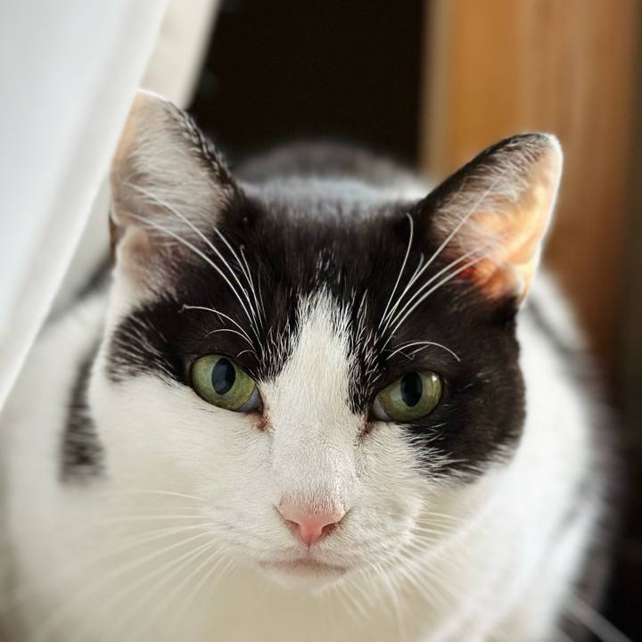 Bd6b6afa 41a9 4e8e b2f1 5368c08893a9 1703548667005