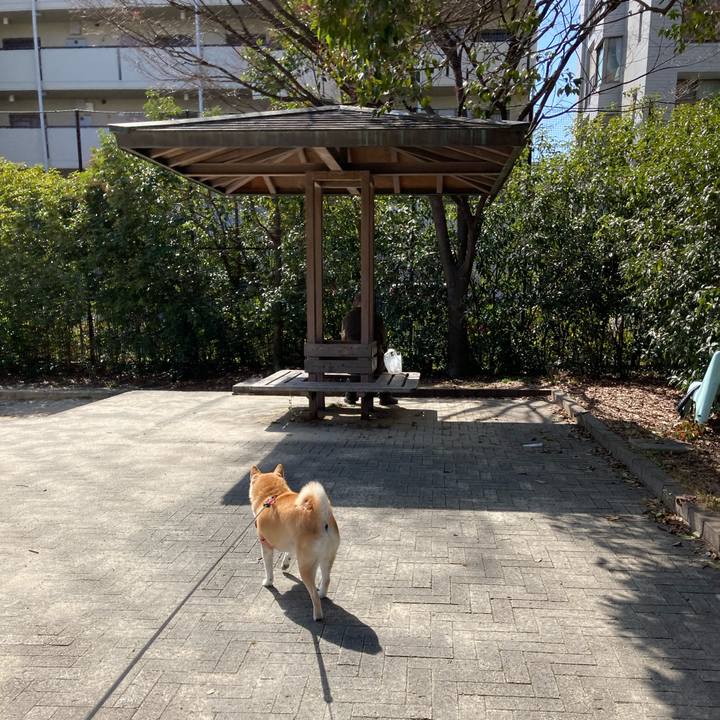 Bd6b867a ca82 41f7 9421 77df1250bae4 1614768113565