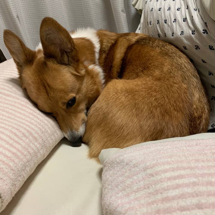 Bd6bb4cf 74d6 40d5 b431 0576cf1ac906 1582879450776