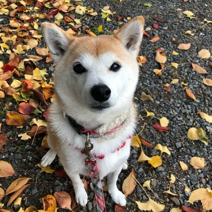 Bd6bf182 20b3 4c71 9b02 e255eaead764 1732923952222