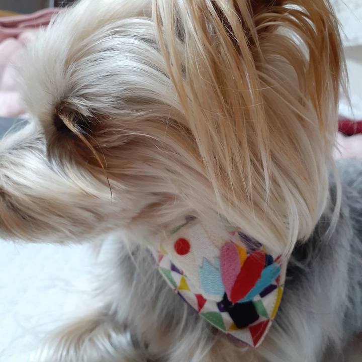 Bd6c3773 1dd9 4e8d a308 6c0b7d12a888 1641012853675