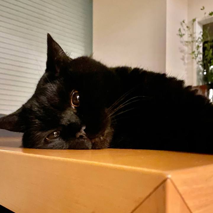 Bd6c6362 7870 45df b01d 0eab78e13e29 1656594156052