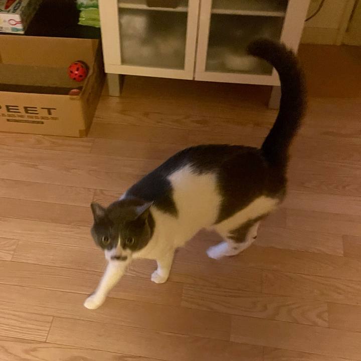 Bd6c8932 8cd1 4474 8552 edb87e406d1b 1680819687889