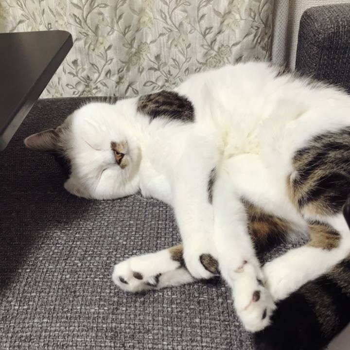 Bd6cbc64 0df9 489b bb33 0ccd3923cd0d 1598412293829